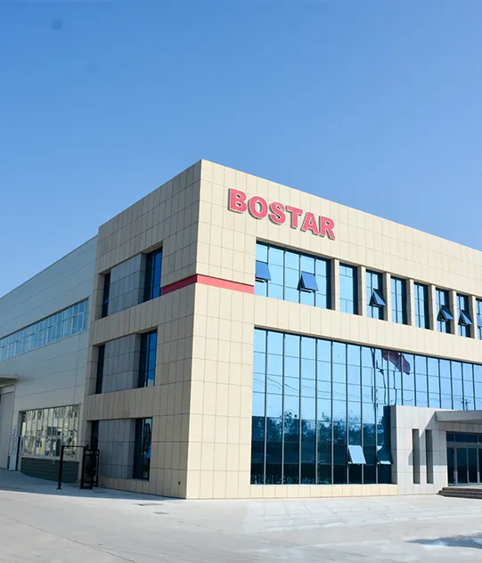Bostar pcking Machinery