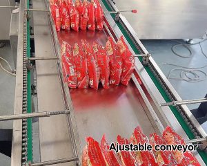 Ajustable-conveyor